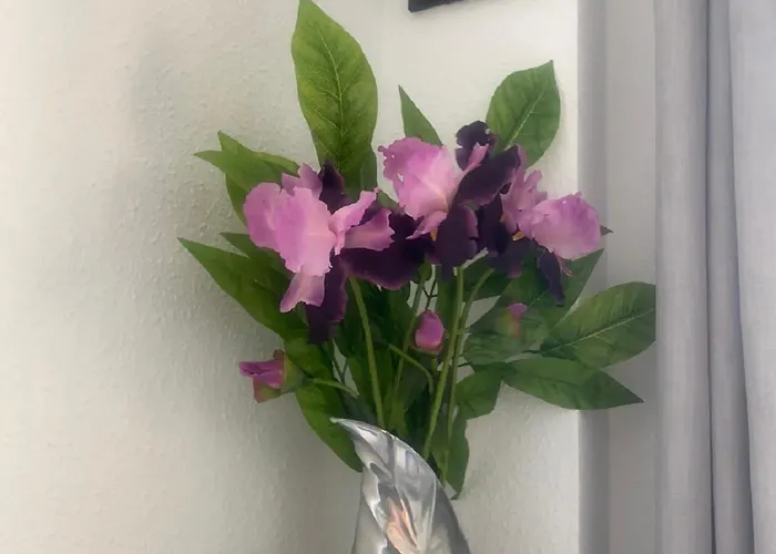 Appartement Ocean Balcony In Balcon Del Mar *